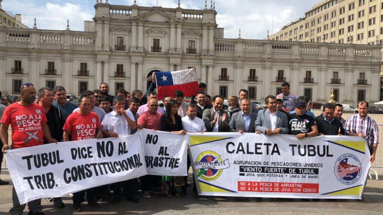 Como un triunfo de la oposición califican decisión del Ejecutivo de no vetar ley de la jibia