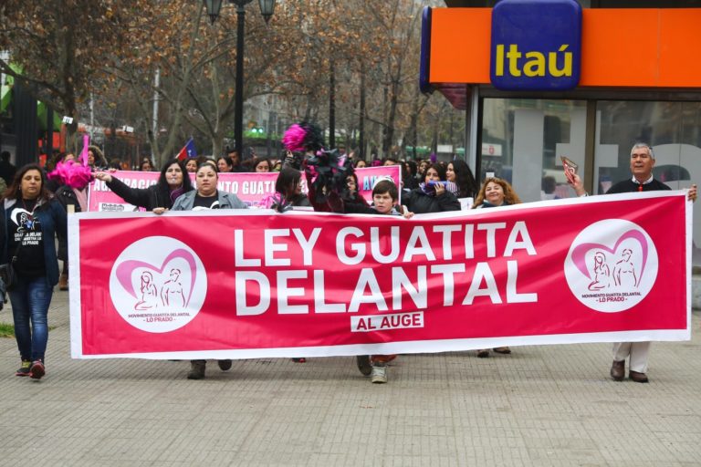Diputado Teillier presentó en la Cámara problemática de organización “guatita de delantal” para acceder a programa aprobado en presupuesto de salud