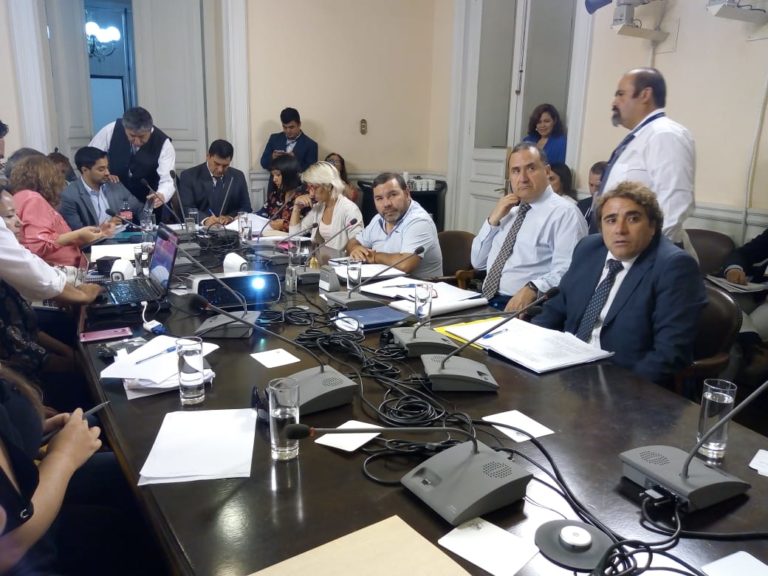 Diputados oficiarán al Minsal sobre sustracción de menores en hospitales