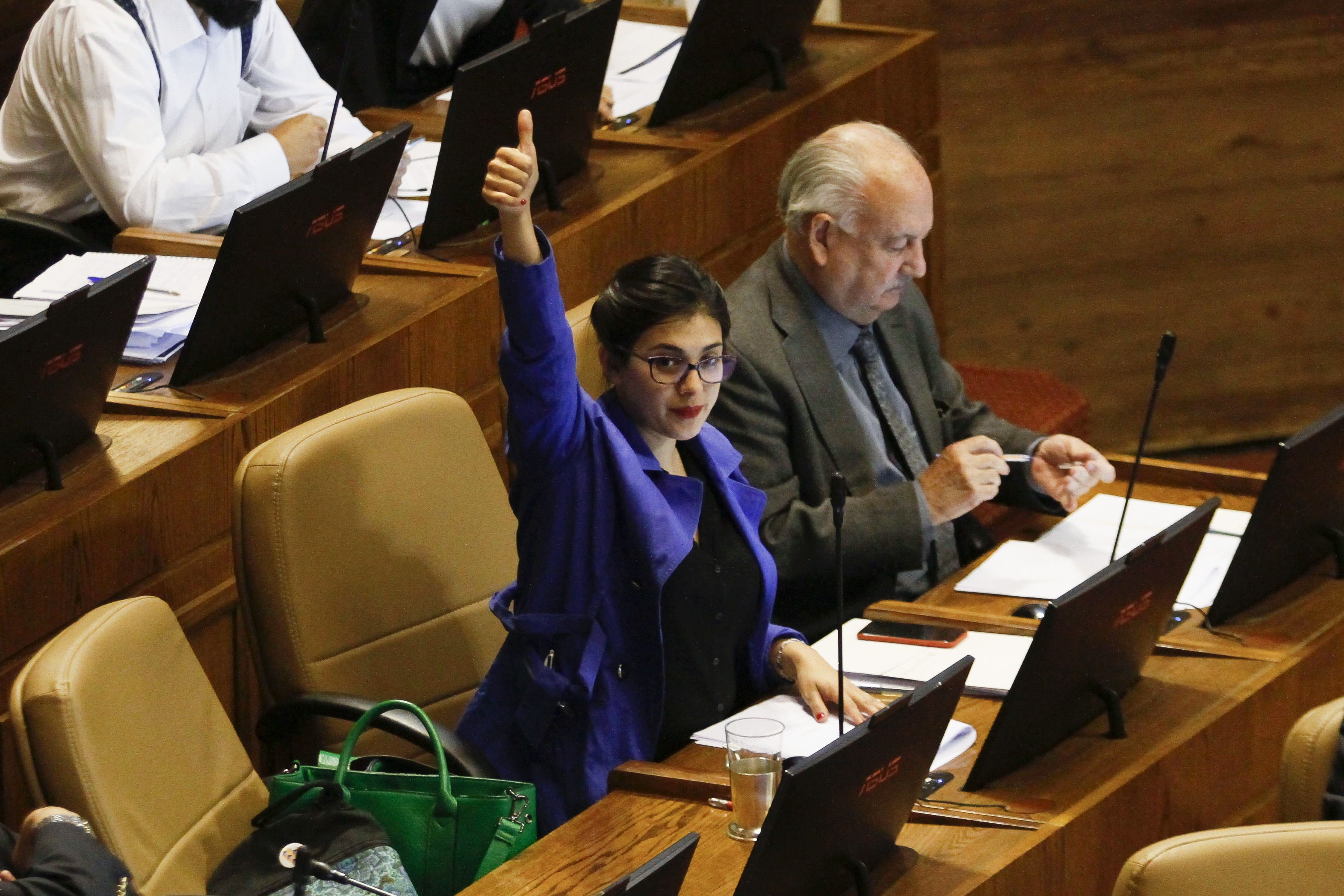Camara de diputados 20 marzo