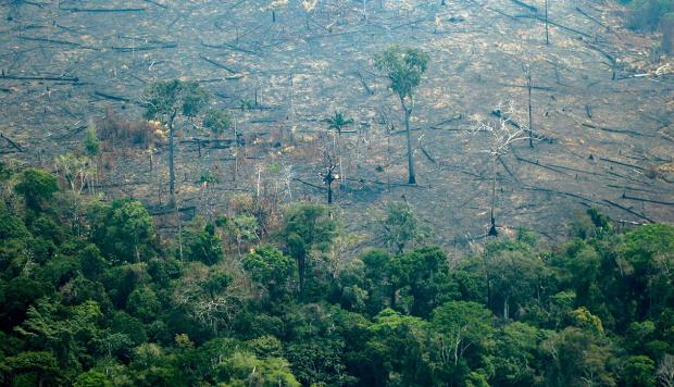 Hay una clara vulneración a la protección ambiental y el derecho internacional en situación de la Amazonía señala Marcos Barraza