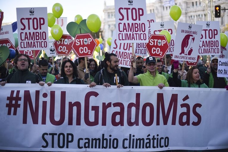 JUVENTUDES: “Se viene la Segunda Marcha Mundial por el Cambio Climático”.
