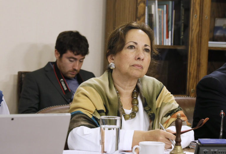 Diputada Sepúlveda (FREVS): “Aquí el único responsable es el Presidente de la República”