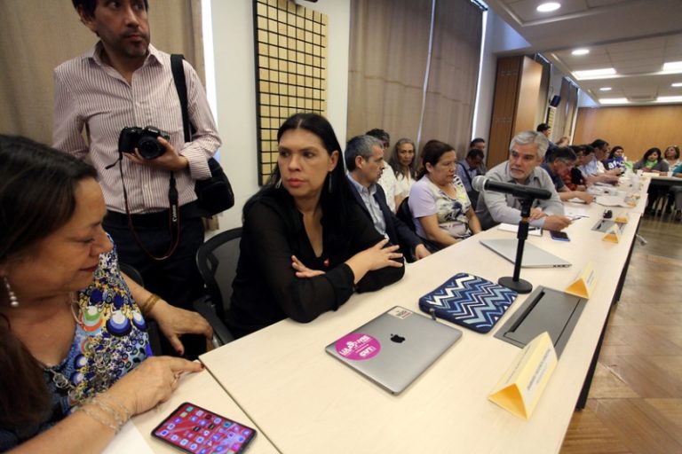 Bárbara Figueroa y estallido social: “Tenemos deudas en materia de demandas sociales  y también en materia de violaciones a los DD.HH.”
