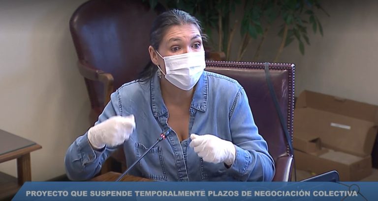 Bárbara Figueroa: “Es una torpeza política que el gobierno insista en su reforma previsional”