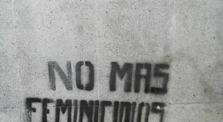 Desde el mundo político y social aseguran que queda mucho por avanzar respecto al funcionamiento de la justicia en casos de femicidio u otros crímenes de odio
