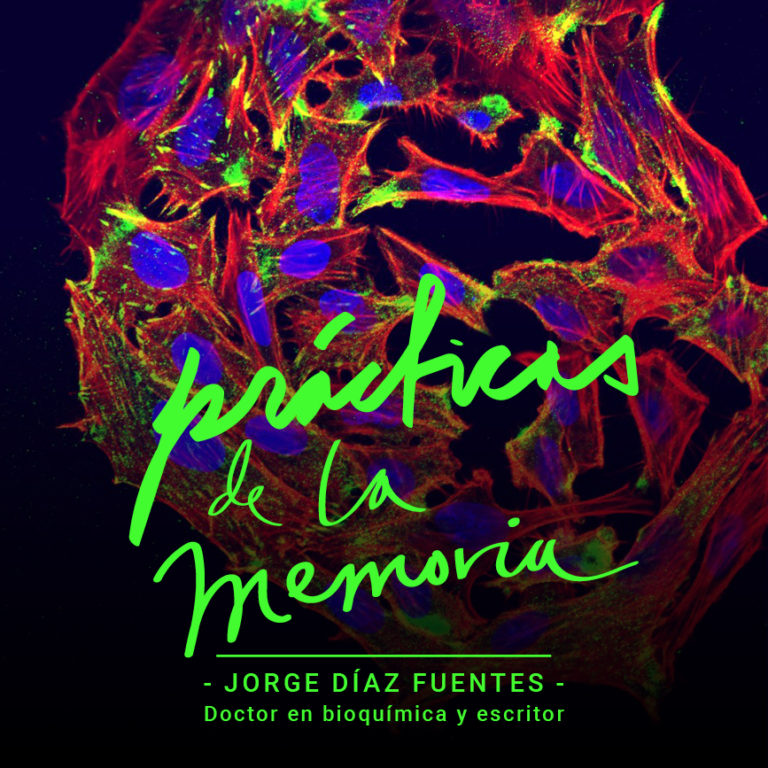 Mutis por el Foro: Taller de biología, dramaturgia y memoria por Jorge Díaz Fuentes.