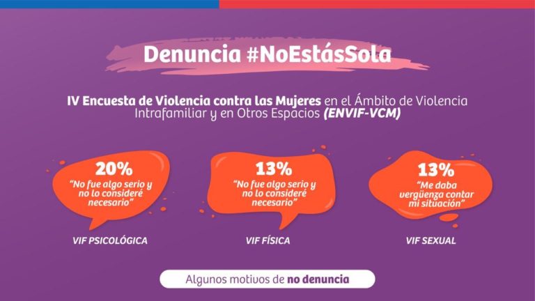 Las dramáticas cifras que arrojó la “IV Encuesta de Violencia contra la Mujer en el Ámbito de Violencia Intrafamiliar y en Otros Espacios”