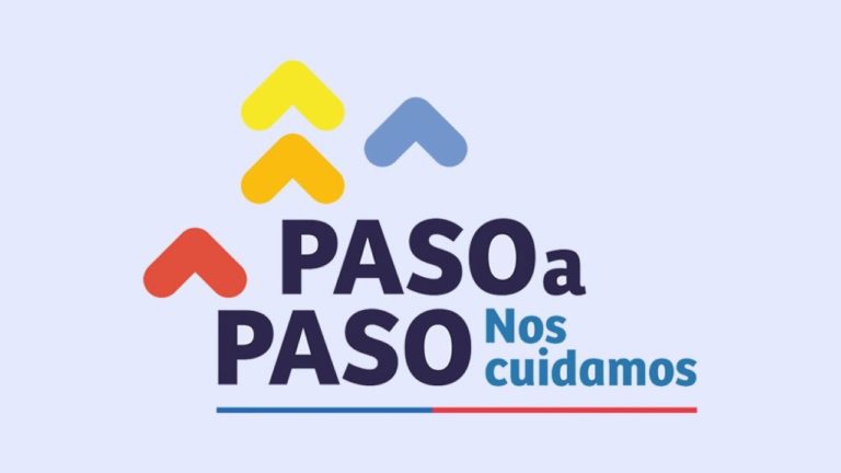 Dra. Paula Araya: “Plan Paso a Paso está orientado a reactivar la macroeconomía lejos de proteger a las personas del riesgo de contagio”