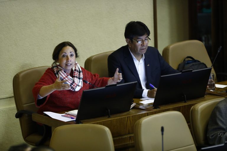 Diputados Regionalistas se suman a críticas por “increíble” rebaja de Corte Suprema a multa de Ponce Lerou (SQM) por “caso cascadas”