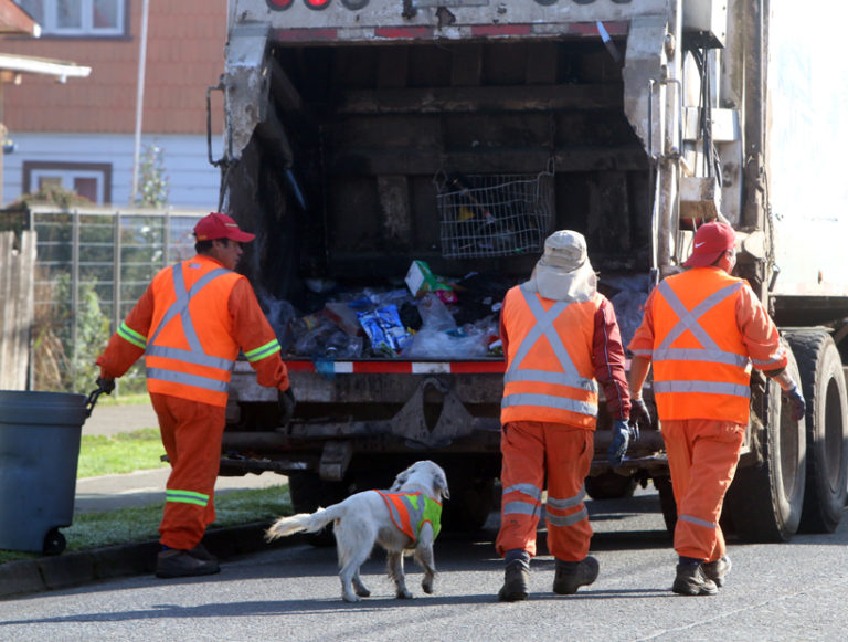 Tierra Colorada: Trabajadores del aseo lanzan libro que relata décadas de trayectoria sindical.