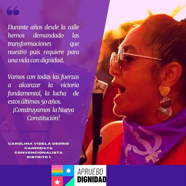 La lucha y la demanda de las mujeres en la Convención: Carolina Videla candidata por el Distrito 1.