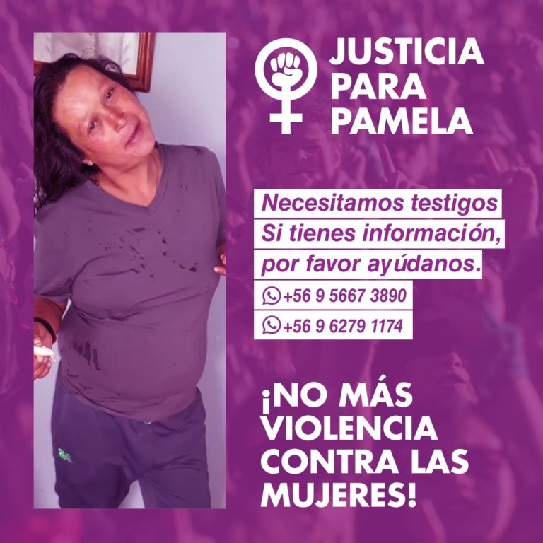 Vanessa Fonseca emplazó a las autoridades a garantizar que el crimen de su hermana Pamela no quede impune. Llaman a aportar antecedentes