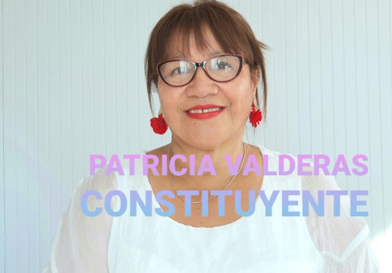 Patricia Valderas: “Movimientos como la revolución pingüina y el estallido social han sido inspiradores con miras a este proceso constituyente”