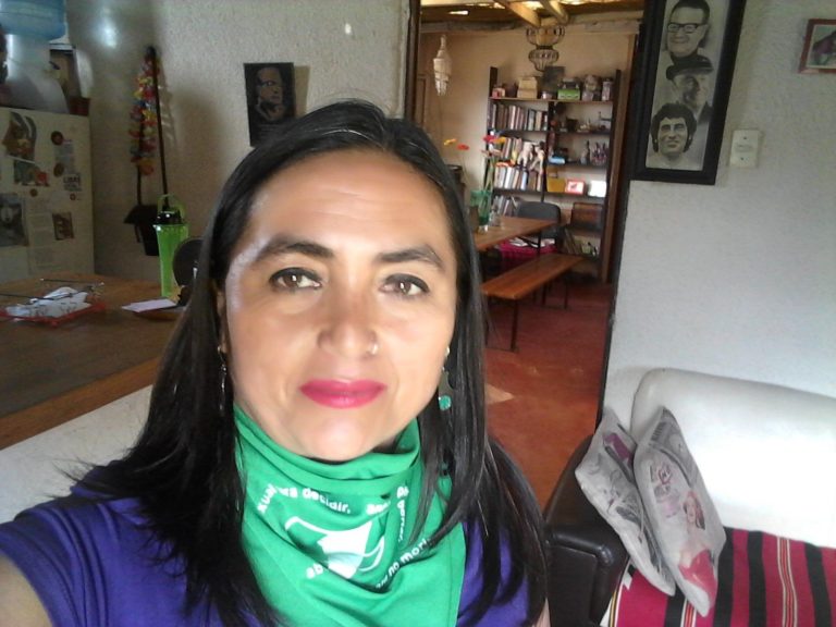 No hay nada de este proceso constituyente que no deba ser puesto en conocimiento de la ciudadanía asegura Carolina Videla