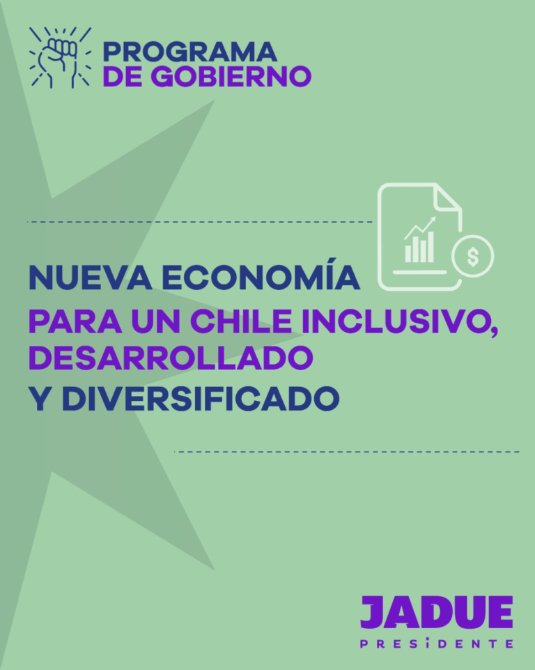 Javiera Petersen, vocera de sustentabilidad y desarrollo comando de Jadue: “Propuesta de reforma tributaria busca recaudar entre el 8 % y el 10 % del PIB como formula de avanzar hacia una justicia impositiva”