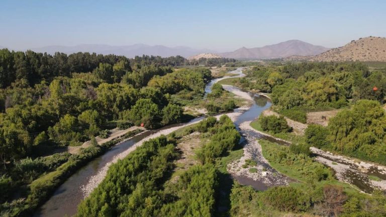 Especial de Prensa: Alcalde de Peñaflor solicita paralizar obras de transmisión eléctrica por grave daño ambiental en Reserva El Trapiche