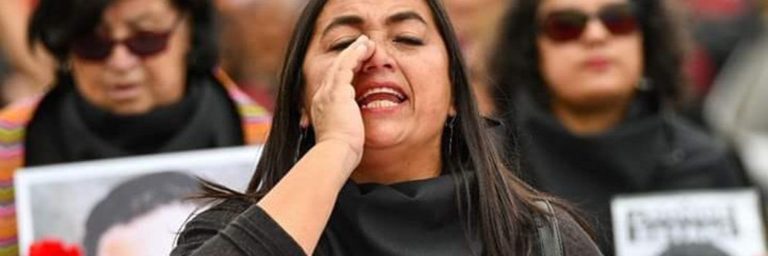 Carolina Videla señala que en nueva Constitución buscarán incorporar una serie de disposiciones transitorias para establecer indulto y amnistía a presos políticos