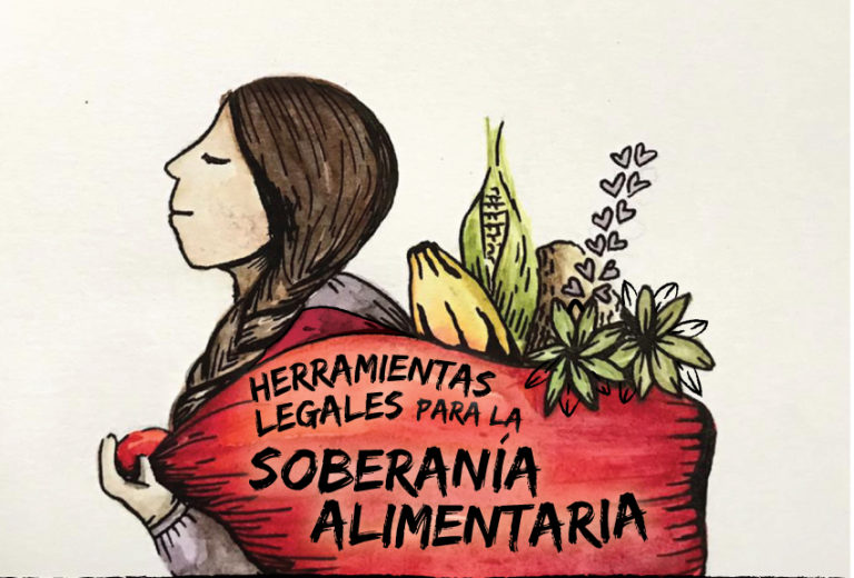 Anamuri sostiene como fundamental que nueva Constitución contemple soberanía alimentaria