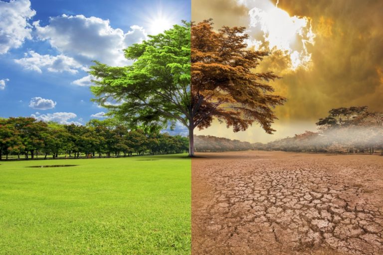 Cambio climático: Investigador Usach hace llamado a ser parte de la acción climática, abandonando el uso de combustibles fósiles y todos los derivados del petróleo
