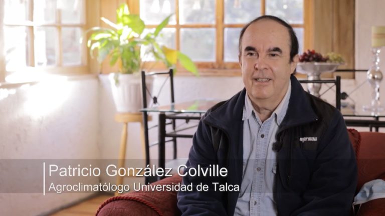 Urge que el gobierno declare emergencia climática en zona central de Chile, entre regiones de Atacama y Ñuble