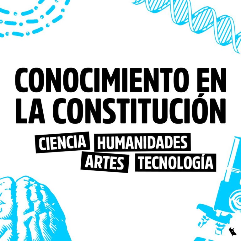 Comisión de Conocimiento en la Convención: una oportunidad para pensar el saber desde un foco común e integral.