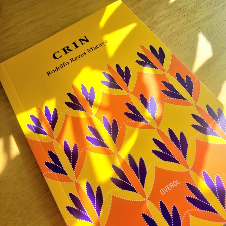 Leer es Resistir: “CRIN”, ser mujer y rural en la narrativa de Rodolfo Reyes Macaya.