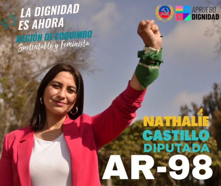 Nathalie Castillo expresó que buscan terminar con una serie de actos de abuso y corrupción tanto a nivel nacional como local, en donde han estado involucrados personeros del oficialismo incluyendo el propio Piñera