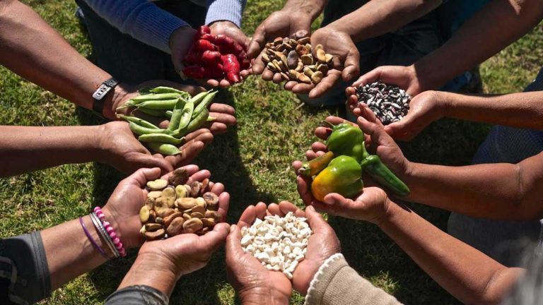 Especialistas por una alimentación saludable, nutritiva, soberana y sostenible, levantan propuesta constitucional