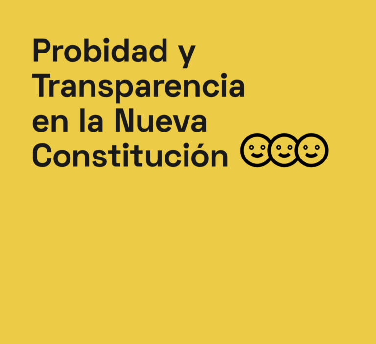 Presidenta del CPLT destaca iniciativa transversal para establecer principios como transparencia y rendición de cuentas en la Constitución
