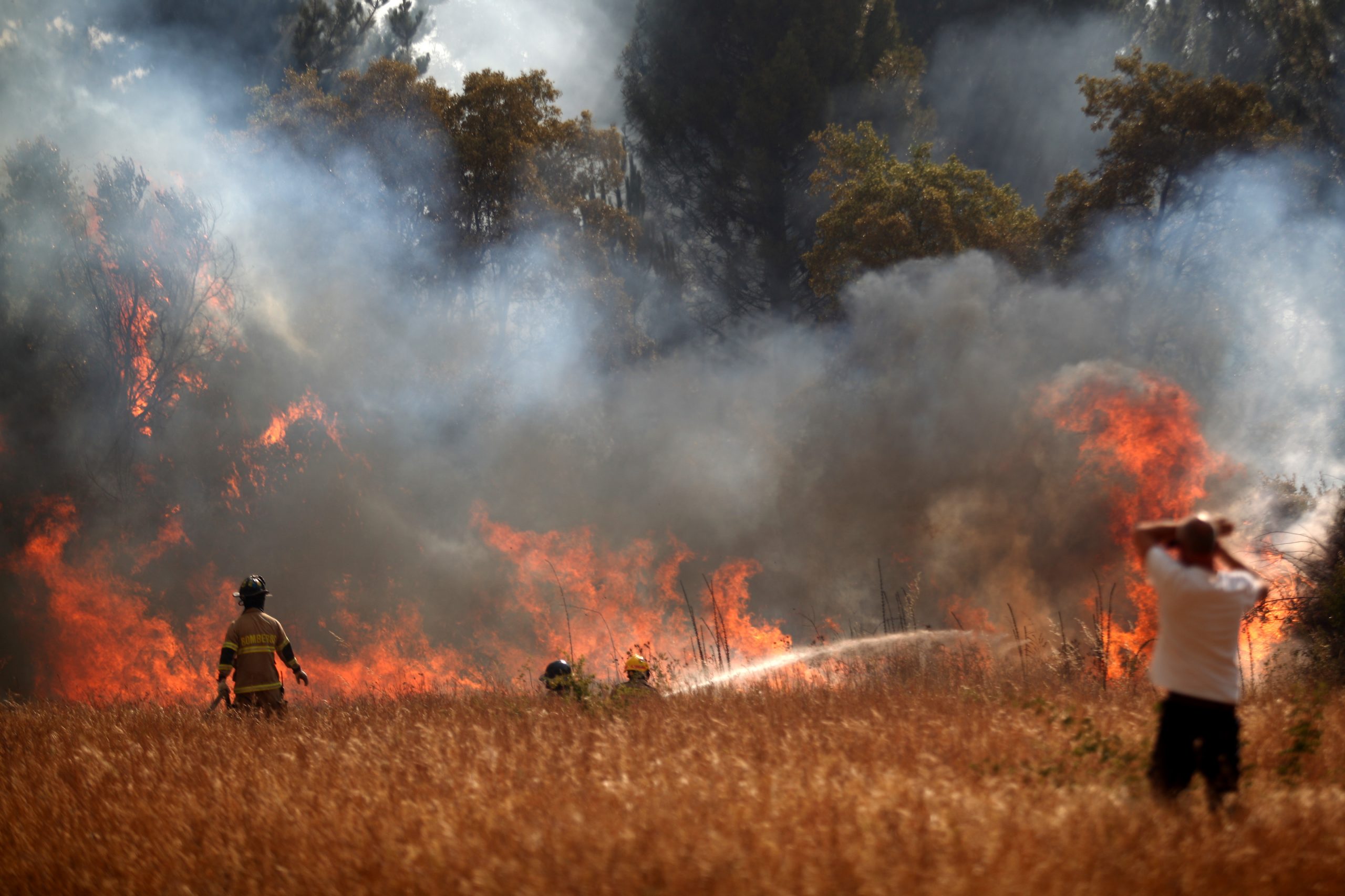 Vegetación seca genera riesgo de incendios forestales durante todo el año Vegetación seca genera riesgo de incendios forestales durante todo el año