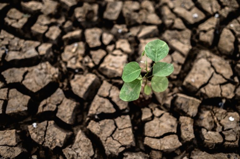 Sociólogo Manuel Canales: “La crisis del agua nos lleva a un conflicto entre un tipo de producción agrícola y la comunidad”