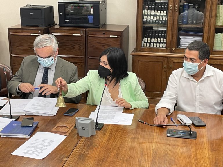 Histórico: Diputada Cariola se convierte en la primera mujer presidenta de la Comisión de Constitución de la Cámara Baja