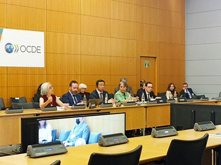 Ministra Jara ante la OCDE: La enseñanza de la pandemia es que “nuestro país debe institucionalizar mecanismos de protección social que operen automáticamente ante crisis”
