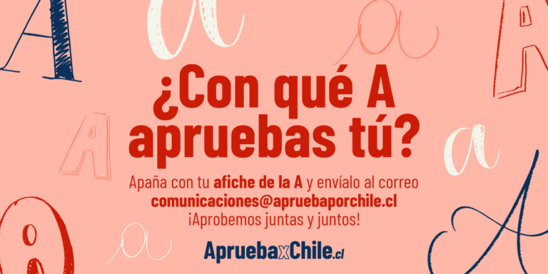 Organizaciones levantan plataforma y campaña ApruebaxChile
