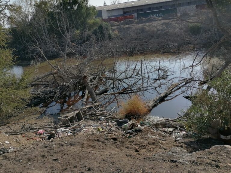 Tribunal acoge postura de municipalidad de Pudahuel para recuperar aguas del estero Lampa