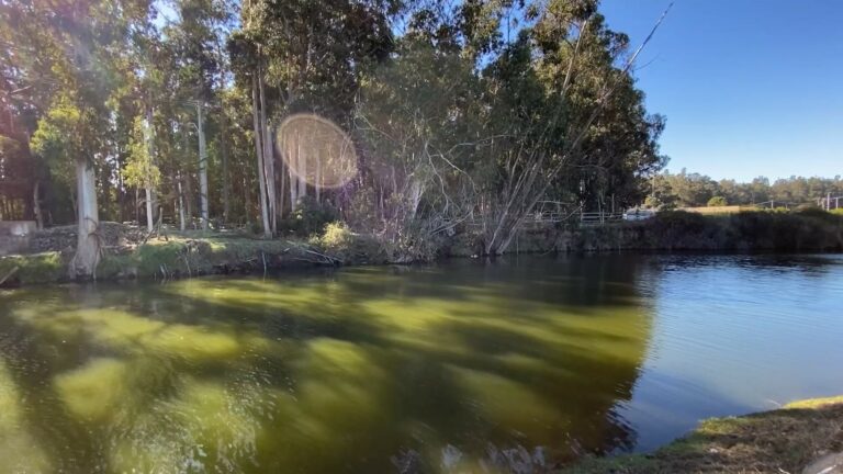 Semana de los Humedales: Finaliza proyecto GEF que fortaleció conservación de ecosistemas costeros en el país