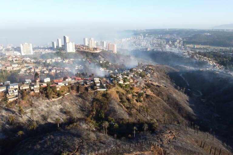 Académico de la Universidad de Chile sobre los incendios en Viña del Mar: “Hay que formar un área de interfaz protegida para generar territorios seguros”