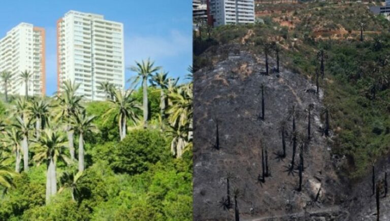 Organizaciones de Viña del Mar advierten de múltiples amenazas socioambientales en la comuna y alrededores