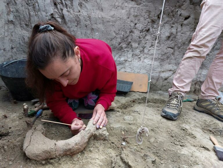 Académica reconstruirá ecosistema de hace miles de años