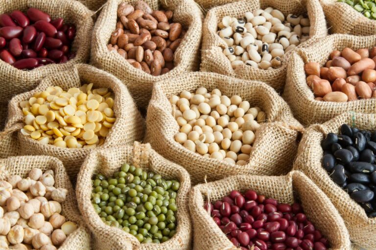 Legumbres: Nutritivas y al alcance de todos