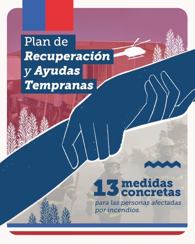 Incendios forestales: Plan de recuperación y ayudas tempranas del gobierno en detalle
