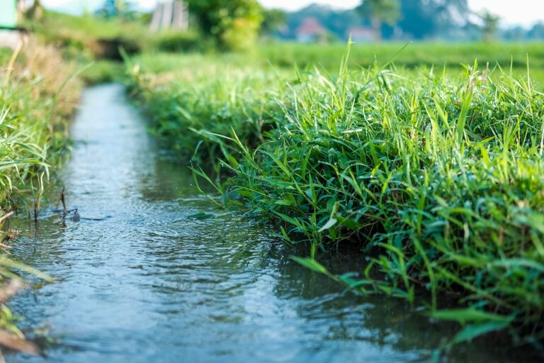 Universidad de O’Higgins: Compromiso férreo de cuidar el agua como elemento fundamental para la vida de todos