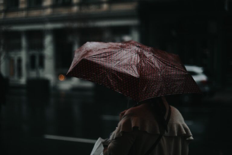 ¿Cómo será el invierno con la llegada del Fenómeno de El Niño? Académico explica sus efectos y da recomendaciones para enfrentar la lluvia