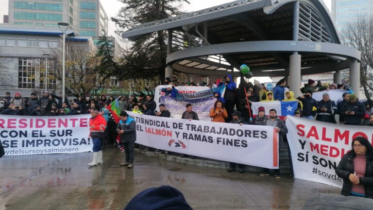 Boicot empresarial: Protestas de gremios salmoneros ante tramitación de Ley para la Naturaleza en Puerto Montt