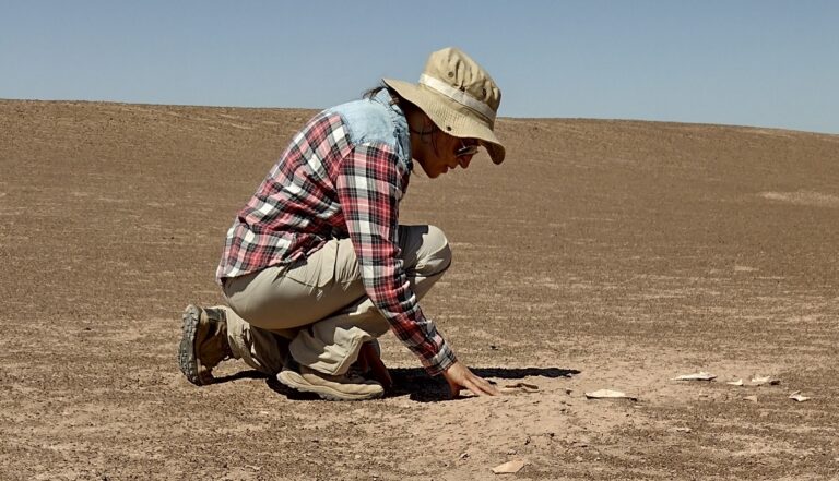 Fósiles del antepasado del perro ratifican presencia de cánidos en la Pampa del Tamarugal hace 14 mil años