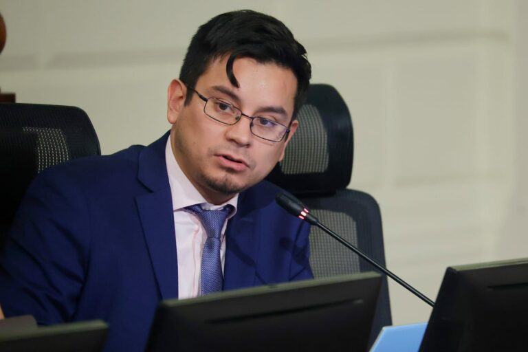 Alexis Cortés sobre las enmiendas votadas por la Comisión de Expertos: “Hemos logrado arribar a definiciones y normas que son significativas”