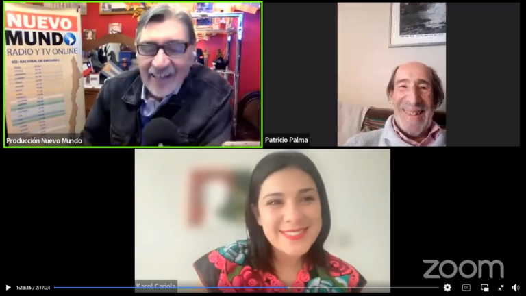 Diputada Karol Cariola: “Hay un apoyo transversal, muchos nos hemos sumado a la campaña Chao Tarifa de Invierno”