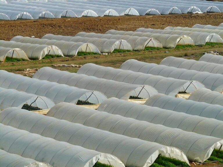Especialistas entregan propuestas para un uso sustentable de microfilms en la agricultura