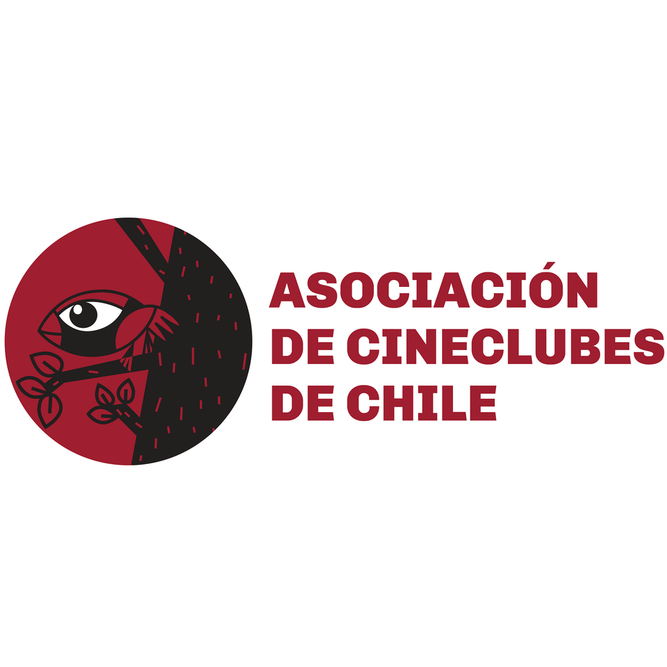 Asociación de Cineclubes de Chile abre convocatoria para postular a becas de formación audiovisual Asociación de Cineclubes de Chile abre convocatoria para postular a becas de formación audiovisual